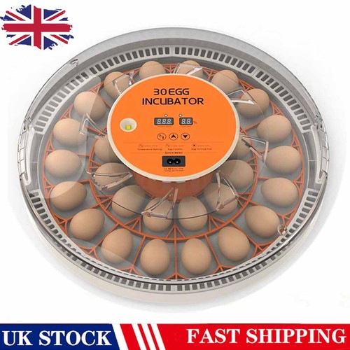 30egg incubator egg - egg, candler