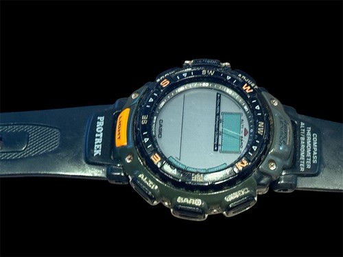 Mens casio pro - casio,