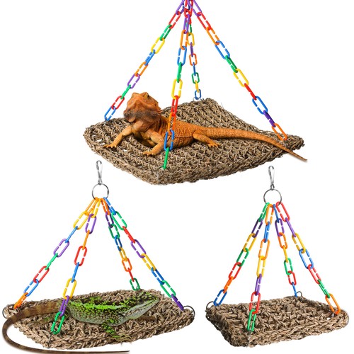 Reptile hammock for lizard - reptile,