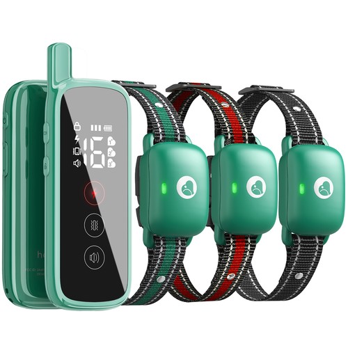 2600ft dog shock training - dog,