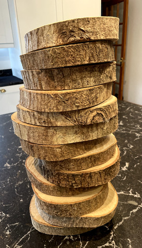 Wood log tree slices - , x