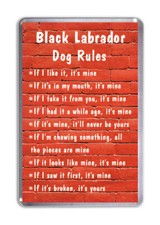 Black Labrador Dog Rules