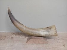 Vintage Bull Horn