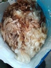 Cotswold Sheep Fleece Wool