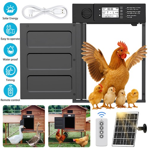 Automatic chicken door - chicken,