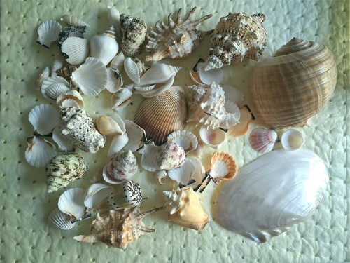 1kg mixed assorted natural - mixed/assorted,
