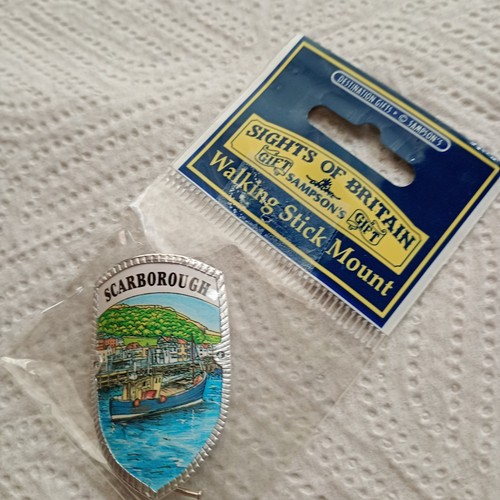 Walking stick badge - walking,