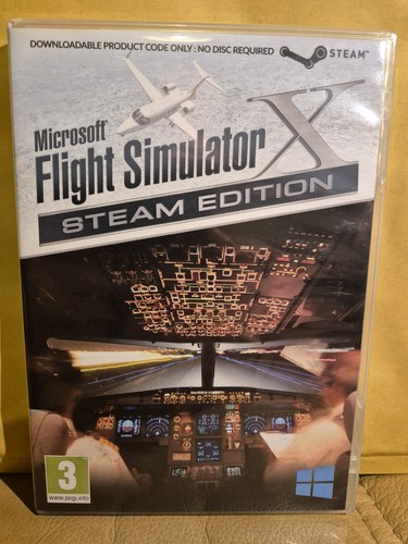 Flight simulator steam - simulator, x