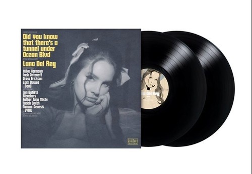 Lana del rey did - did, you