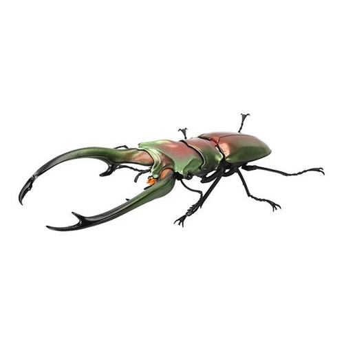 Bandai gashapon stag beetle - beetle, 07