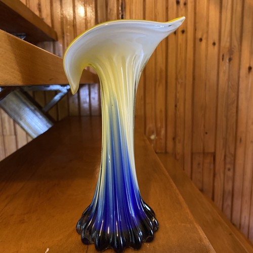 Jack the pulpit calla - jack,