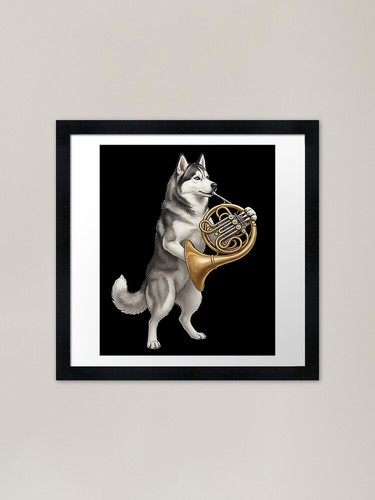 Siberian husky playing french - siberian,