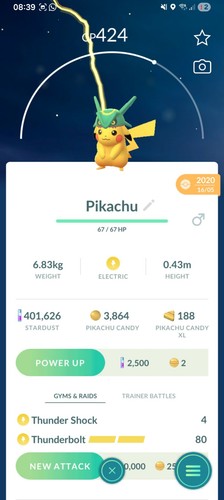 Pikachu pokemon rayquaza hat - pokemon,