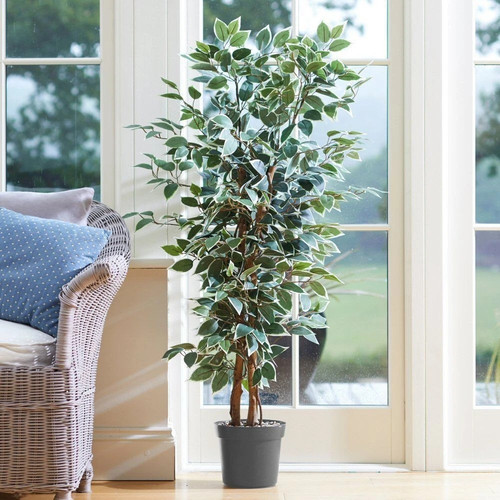 Faux fake weeping fig - faux,