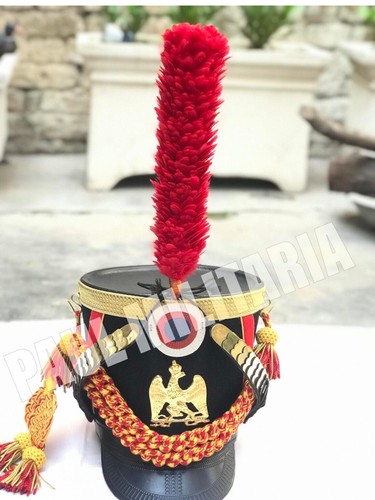 French napoleonic young guard - french,