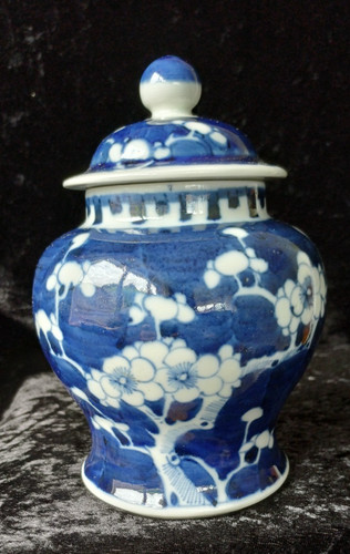 Antique chinese prunus - ?,