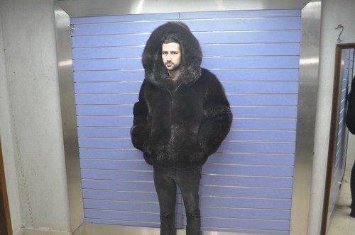 Luxury full skin brown fox - full, fur
