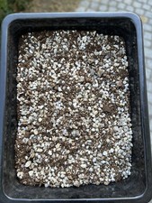 Lithops Soil. 1 litre.