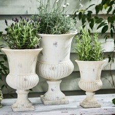 White Granada Urn Planters in