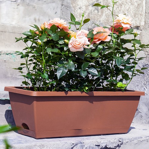 5pcs long trough planters - long,
