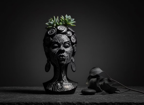 Spiral face plant pot african - spiral,