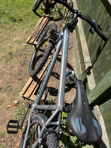 Carrera mountain bike - carrera,