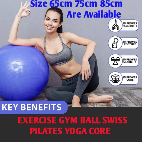 Exercise gym ball swiss - exercise,