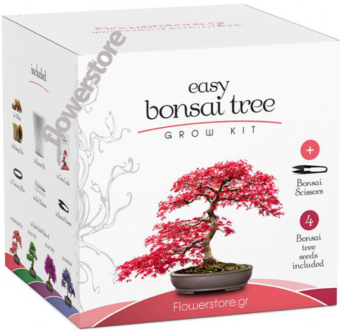 Master the art bonsai - the, of