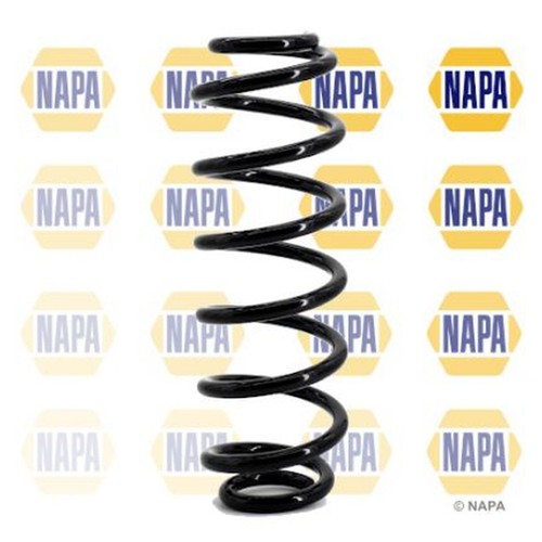 Rear coil springs - rear,