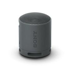 Sony SRS-XB100 Portable