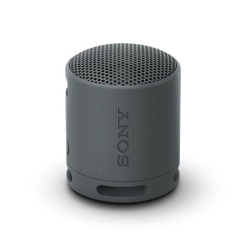 Sony srs xb100 portable - sony,