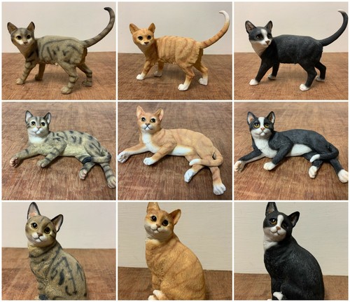 Ginger cat black white - black,