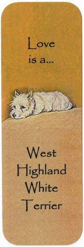West highland white westie - white,