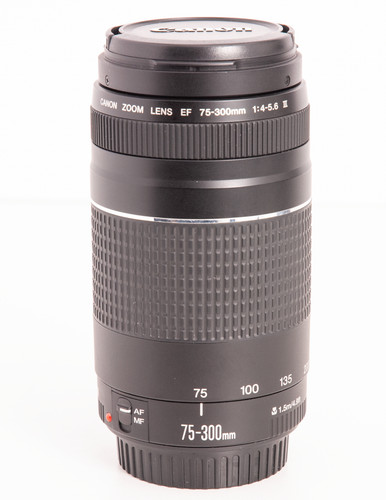 Canon 300mm 5 - canon, ef