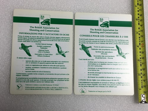 Basc info cards for - cards, visiting