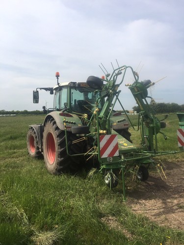 Straw hay haylage - hay, raking