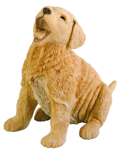 Golden retriever puppy paw - golden,