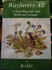 Wayfarers All By Beshlie First