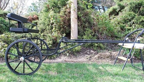 Entry mini horse - ez, cart