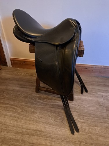 Stubben maestoso dressage - stubben,