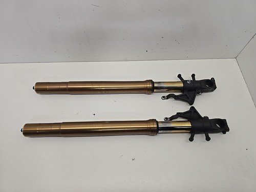 Suzuki gsx r1000 forks - gsx-r1000, k1