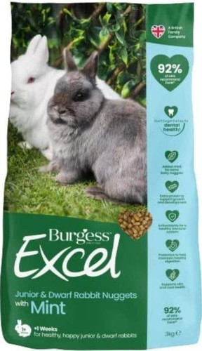 Burgess excel nuggets - excel, junior