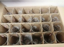 Genuine Official 12 Pack