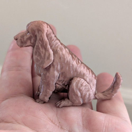 Cocker spaniel dog miniature - cocker,