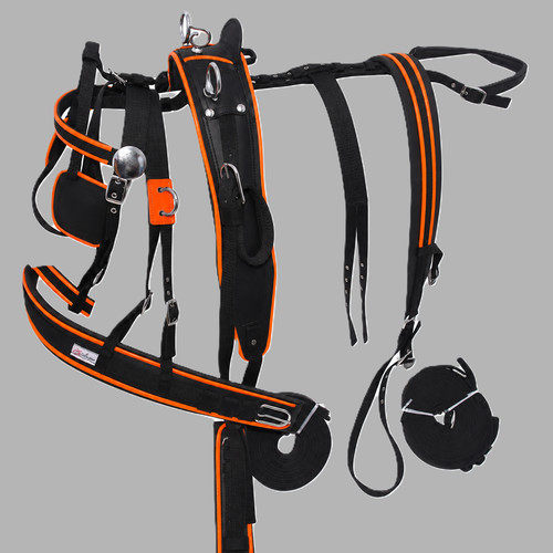Nylon webbing driving harness - webbing,