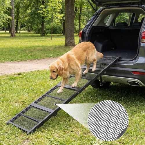 Dog ramp portable - portable, folding
