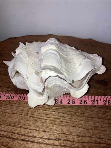 Vintage natural ruffled giant - natural,