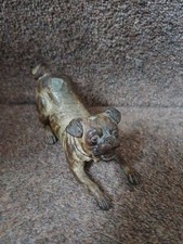 Franz Bergman Snarling Pug