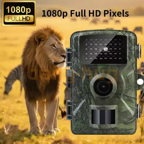 Wildlife hunting trail camera - wildlife,
