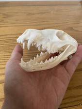 Predator Cosplay Costume Props